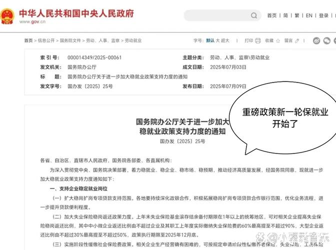 再加码！我国推出新一轮举措加力扩岗稳就业